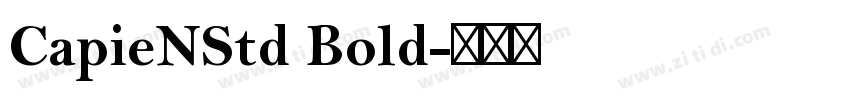 CapieNStd Bold字体转换